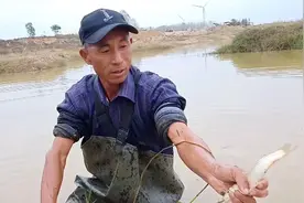 河南南阳:农民老郑又下河摸鱼了，看看他的技巧与收获，真喜人。视频封面