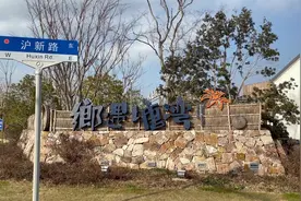 大上海的美丽乡村～塘湾村，等到春暖花开时也是新晋网红打卡点视频封面