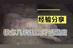 低温怎么办一招教你治好