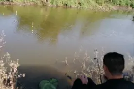 天下钓友一家亲解密即将失传四川独创钓鱼技法排钓