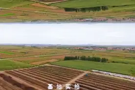 溶栓化瘀之王～地龙蛋白