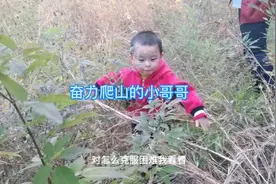小哥哥爬山过比自己高的草丛，勇敢向前视频封面