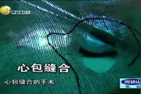 12岁男孩被长竹竿插入心脏 ，侥幸活了下来，口述当时惊险经过视频封面