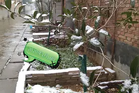 河南孟州下大暴雪了，好美呀，快来看吧视频封面