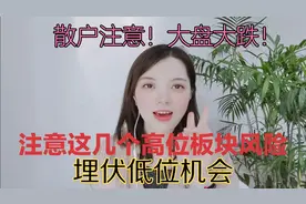 散户请注意，大盘大跌，这几个板块重视高位风险和三个埋伏机会。视频封面
