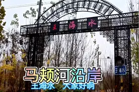 山东乐陵的乡村，马颊河北岸一个美丽的村庄：王海水视频封面