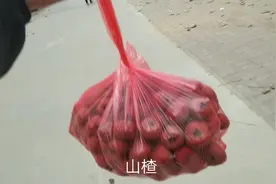 琳姐给亲戚送土特产  山楂  有喜欢吃的吗？视频封面
