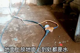 带电的插座放在水里面，为什么不跳闸……视频封面