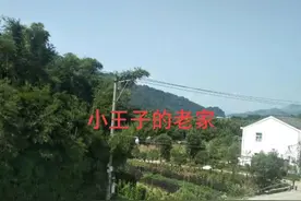小王子的老家视频封面