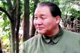 三个鸭子的故事