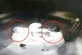 监拍：女业主电梯内遭“变态”男子强行拖拽猥亵 嫌疑人已被抓获视频封面