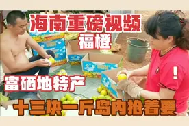 来自海南的抢手特产，海南澄迈福山富硒地(福橙)，岛内不够吃