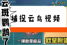 云斑鹦鹉鸟饲料：辣椒饲料包十鲍鱼十小麦饲料包，我觉得带50包视频封面