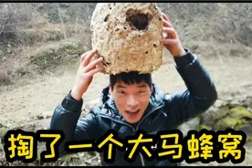 疫情期间看病不方便，小平上山摘了一个大马蜂窝，给妈妈熬草药用视频封面
