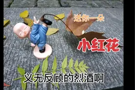 《送你一朵小红花》超好听的一首绝唱视频封面