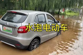 低速电动车涉水三十公分，已经把电机淹没了，大家看还能走吗？
