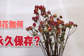 鲜花枯萎怎么办？扔掉太可惜啦！超简单的方法让它重焕新生！视频封面