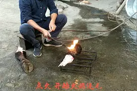 牛脚这样处理才省时省力又干净视频封面