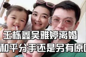王栎鑫和妻子吴雅婷离婚，是和平分手，还是另有原因？视频封面