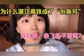 湛江高铁票为什么是全广东最贵的？春运还抢不到票，有人表示不服视频封面
