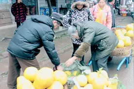 四川通贤柚子，2角钱一斤无人要，辛苦搬到街上最后只能这样处理