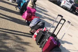 狗狗当安检员，第一次见，看看它是如何工作的吧。