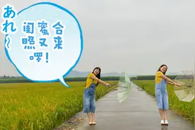 闺蜜合照这样拍，雨天用伞做道具，既好看又容易摆动作，你也试试