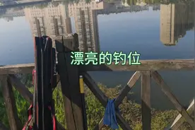 钓鱼一个小时能钓多少鱼