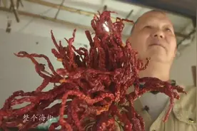 胡老幺辣椒在重庆堪称一绝，多种辣椒混合调香，只辣口，不辣心视频封面