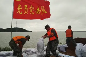 中国人民解放军71集团军官兵继续奋战在长江流域安徽怀宁洪铺西圩视频封面
