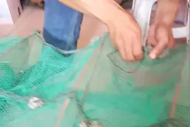 小小的渔网被老鼠啃了，拿起针线就开始补，这活儿怎么样，自己看视频封面