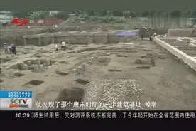 紧邻明蜀王府 成都闹市发现明代郡王府视频封面