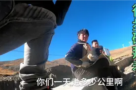 西藏有很多藏民徒步磕拜，他们是为了什么，今天采访时说出实情视频封面