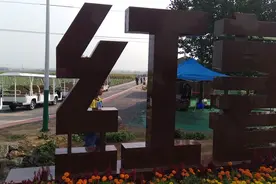 9月的金沙河红薯岭油葵，前来参观游玩的人还不少呢，免门票的哦