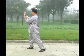 杨班侯式太极拳小架视频封面