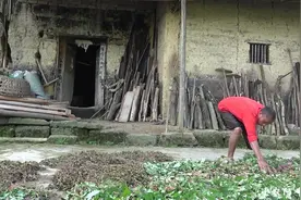 奶奶走亲戚去了，爷爷一个人在家，总感觉孤零零的少了什么视频封面