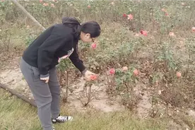 孕期32周体重增长过快，老公陪着公园散步，生活在小城市很知足