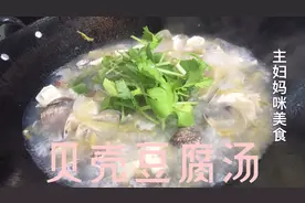 深圳宝妈买1斤美贝1斤沙甲加1块豆腐炖一锅贝壳汤，真鲜美！视频封面