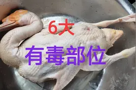 鸭子身上6个部位毒素最重，不要随便吃，30年经验大厨专业讲解视频封面