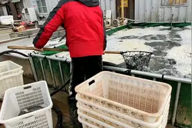 临沂刚搬来的最大的淡水鱼市场！鱼都真大视频封面