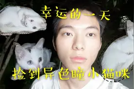 幸运的一天！捡到异色瞳猫咪，可爱到爆炸！以后要好好相处哦！视频封面