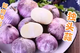 独头蒜很贵，是怎么种出来的，大哥教你怎么用普通大蒜种出独头蒜视频封面