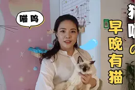 韩语小姐姐的猫咖很不错，国庆节一起来这里与猫咪玩耍吧视频封面