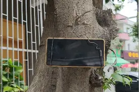 一条铁丝制作手机稳定器，比几十块钱的，八爪鱼三脚架好用