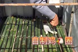 简单又实用的鸡圈，小刘和老丈人小半天就完成了。