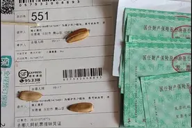 去哪儿网是店大欺客，把消费者当傻瓜一样宰吗？视频封面