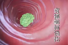 食物进入人的肠胃是怎么消化的呢？你知道吗？