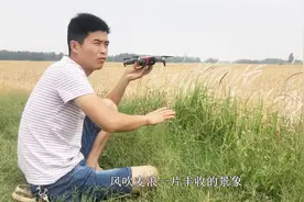 农村老家麦收时节，小伙试飞无人机，150米高空航拍风吹麦浪！视频封面
