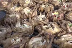 河南洛阳出土隋朝粮仓，仓内粮食存在了上千年，依旧能够发芽！