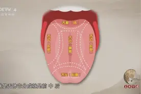 舌是人体健康的“晴雨表”，舌头部位都代表哪些脏腑？了解一下视频封面
